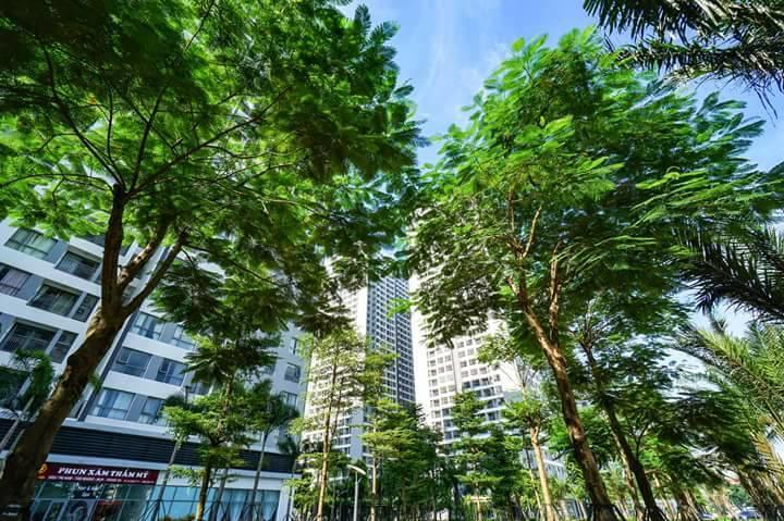 Luna'S Splendid Home Hanoi Luaran gambar